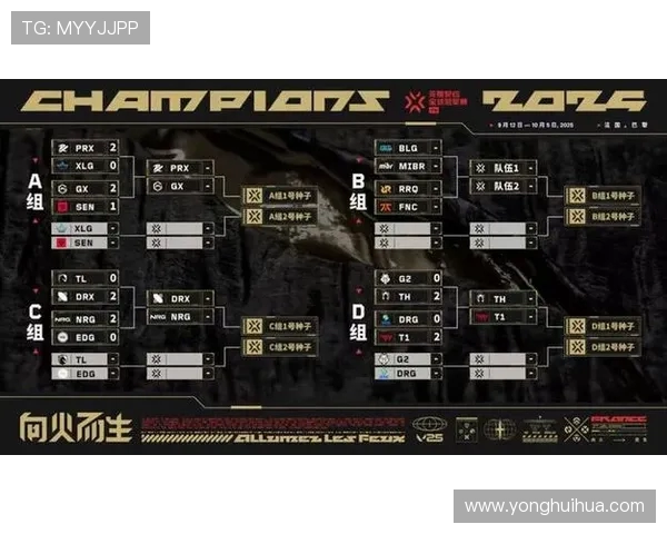 BLG战队的荣耀与挑战:一段关于CSGO的奋斗历程记录 BLG战队的荣耀与挑战:一段关于CSGO的奋斗历程记录