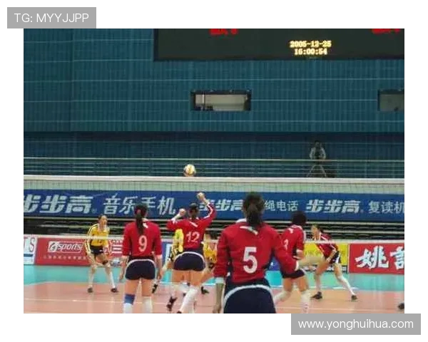 上海排球队荣登排球节奏排行榜第一名引发热议