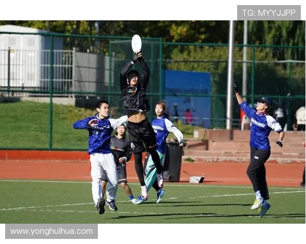 北京飞盘队心理素质深度对比与竞技表现的关系分析