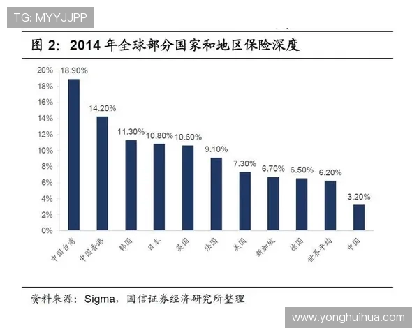成都排球队灵活性分析与战术创新的深度探讨